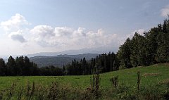 134_IMG_x50656_cr