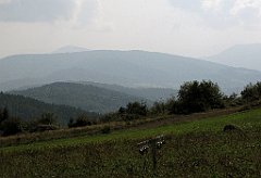 172_IMG_x50702_cr