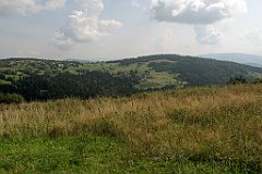 186_IMG_x50719_cr