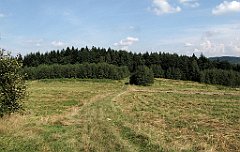 286_IMG_x50837_cr