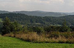 329_IMG_x50893_cr