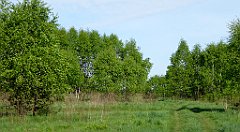 024_TZ60_P1010887_cr