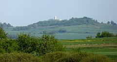 033_TZ60_P1010902_cr