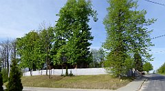 043_TZ60_P1010915_cr