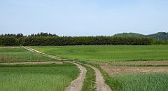 076_TZ60_P1010954_cr