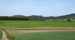 077_TZ60_P1010955_cr