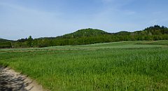 085_TZ60_P1010964_cr