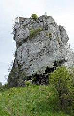 129_TZ60_P1010991_cr