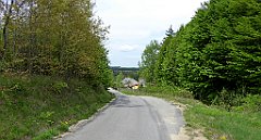 153_TZ60_P1020010_cr