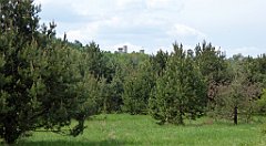 172_TZ60_P1020029_cr