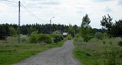 198_TZ60_P1020053_cr