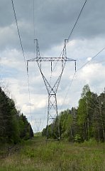 204_TZ60_P1020059_cr