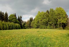 260_A808_IMG_20150517_164125_cr