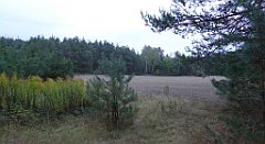 015_TZ60_P1040435_cr