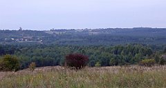 111_TZ60_P1040553_cr