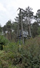 147_TZ60_P1040590_cr