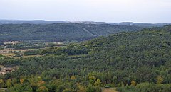 190_TZ60_P1040622_cr