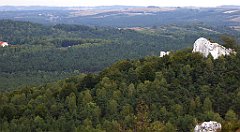 202_TZ60_P1040636_cr