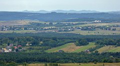 211_TZ60_P1040647_cr