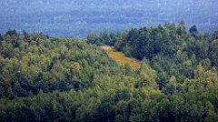 269_TZ60_P1040677_cr