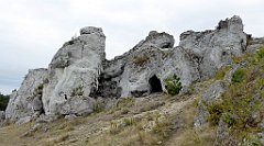 297_TZ60_P1040683_cr