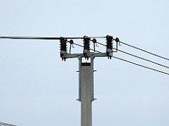 347_TZ60_P1040723_cr