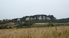 351_TZ60_P1040727_cr