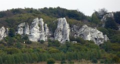 356_TZ60_P1040735_cr