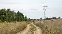 377_TZ60_P1040750_cr