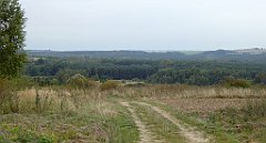 400_TZ60_P1040767_cr