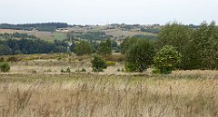 409_TZ60_P1040782_cr