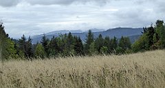 086_TZ60_P1040888_cr