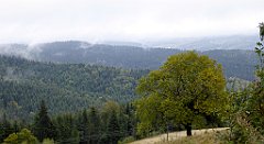 148_TZ60_P1040958_cr