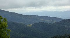 156_TZ60_P1040965_cr