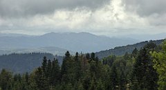 159_TZ60_P1040968_cr