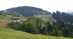 165_TZ60_P1040974_cr