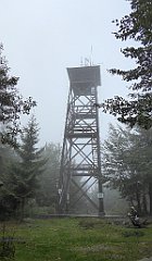 194_TZ60_P1040989_cr