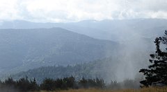 218_TZ60_P1050017_cr