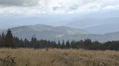 226_TZ60_P1050025_cr