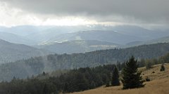 231_TZ60_P1050030_cr