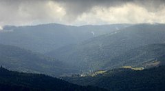 236_TZ60_P1050035_cr