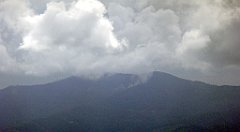 238_TZ60_P1050037_cr