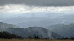 246_TZ60_P1050045_cr