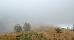 247_TZ60_P1050046_cr