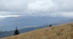 248_TZ60_P1050047_cr