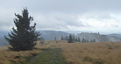 249_TZ60_P1050048_cr