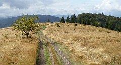 257_TZ60_P1050058_cr