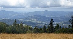 261_TZ60_P1050063_cr