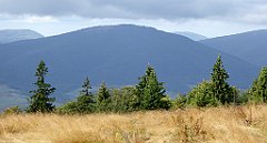 263_TZ60_P1050066_cr