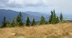 265_TZ60_P1050068_cr